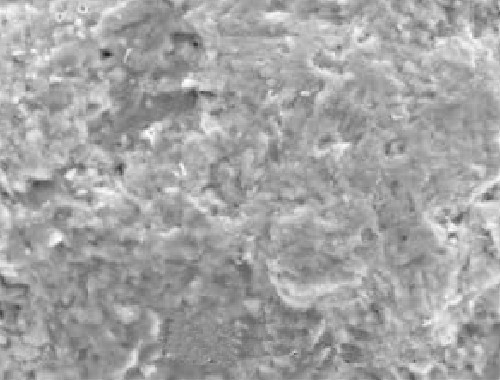 ガリバー砂顕微鏡画像