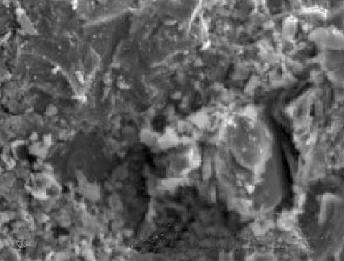 砕砂顕微鏡画像